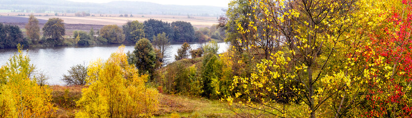 Obraz premium Golden autumn. Autumn landscape with colorful plants by the river, panorama