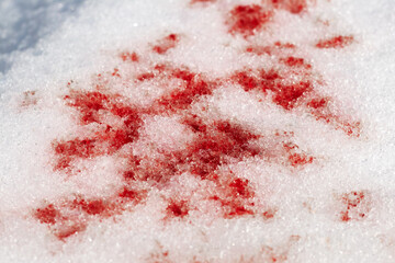Traces of blood in the snow. Criminal showdowns