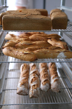 Trays with assorted artisan bread