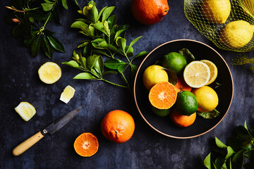Horizontal Shot of Various Fresh Citrus Fruit with Botanicals