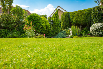 Ground level view of a freshly cut ornate lawn seen during summer. The distant shows shrubs and...