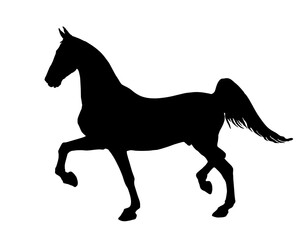 Fototapeta na wymiar black silhouette on a tennessee horse, isolated on a white background