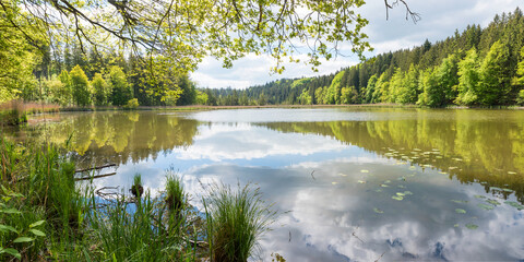 moor lake Thanninger Weiher, bright sunny day in spring, upper bavaria