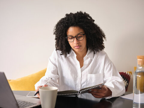 Focused black female with agenda planner