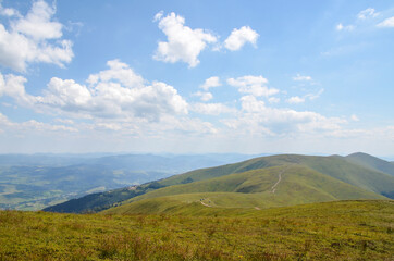 Obraz premium Summer landscape of green Carpathian mountains with dense vegetation, top of the green hills under blue cloudy sky.