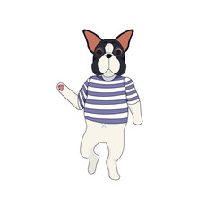 Isolated French Bulldog dressed in Sailor suit in Cartoon style, vector cartoon dog with Sailor T-shirt on white isolated background, concept of France and Culture, Domestic life and Pets, Fashion.