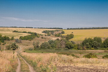 road leading into a ravine against a background of blue sky, countryside