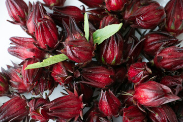 fresh red Roselle fruit ( Jamaica sorrel, Rozelle or hibiscus sabdariffa ) on white background.