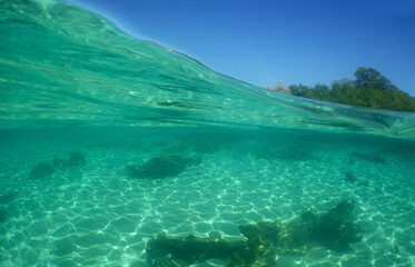 underwater scene , caribbean sea , Venezuela