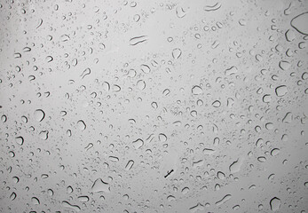 rain drops on window