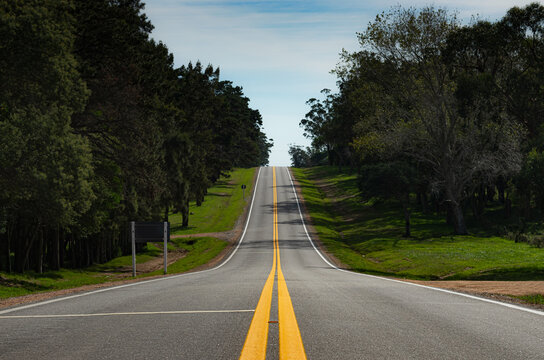 Ruta solitaria, adonde me levar&aacute; el camino