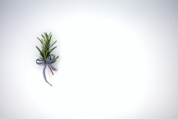 A sprig of rosemary with a ribbon against a white background
