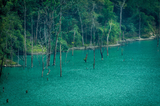 Teesta River Bank