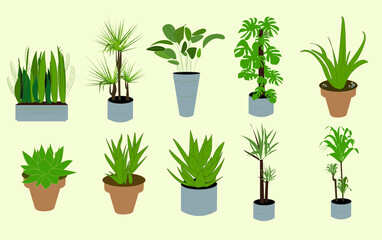 vector houseplant collection eps 10 pots
