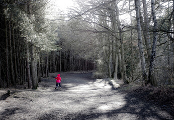 child in woods