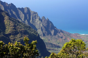 panoramic view of kalalau valley  and the pacific ocean from pu'u o kila overlook, kauai, hawaii