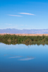 Fototapeta premium autumn landscape with lake