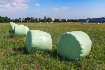 Stacked hay bales lying on a suburban field. Agricultural stretch film is a method of preservation based on a standard chemical fermentation process.