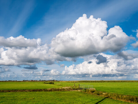 Cumulus clouds and polder landscape with grass near Grou, Friesland, Netherlands