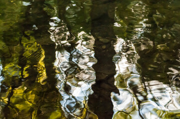 Reflections on the surface of the water.