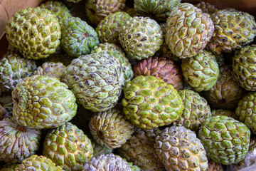 Sweet Sop Fruits