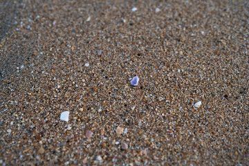 water drops on the sand