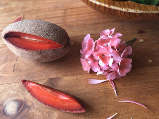 fruits of the mexican tropic