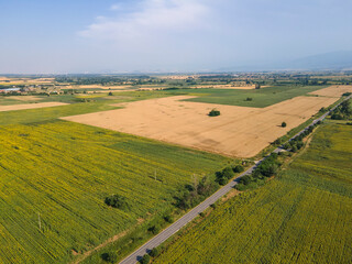 Fototapeta na wymiar Aerial view sunflower field near village of Boshulya, Bulgaria