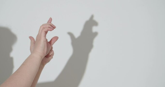 Woman making shadow kangaroo with her hands