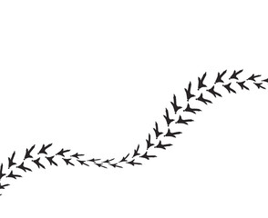 chicken or bird footprint banner with a white background