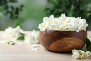 Fototapeta na wymiar Bowl with beautiful jasmine flowers on white wooden table, closeup. Space for text