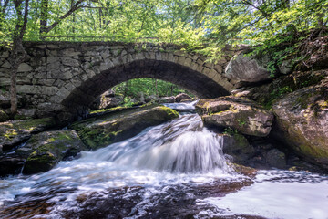 Old stone bridge over waterfalls in the forest woods
