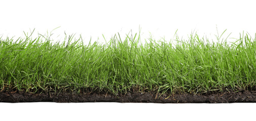 Soil with lush green grass on white background