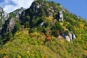 秋の色付き始めた山の風景（日本、瑞牆山）