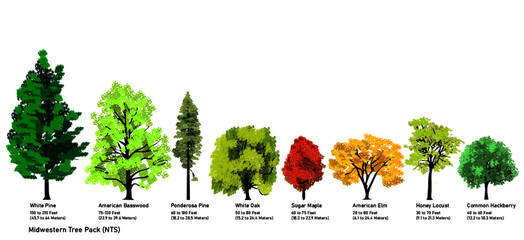 Midwestern Tree Pack