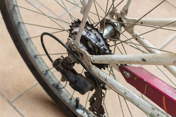 Cleaning cogs on the rear wheel of a white and purple bicycle.