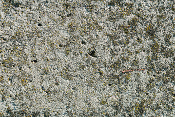 Gray stone surface covered with moss.