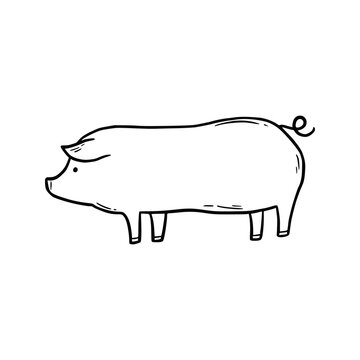Hand drawn farm pig. Doodle sketch style. Drawing line simple pig icon. Isolated vector illustration.