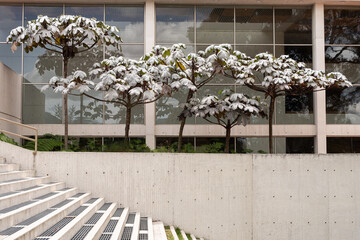Beautiful modern building with trees in the garden, Bogotá, Colombia.