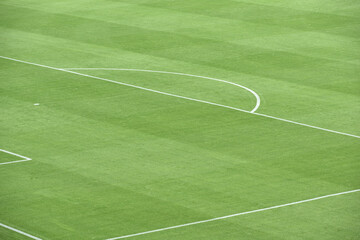 Obraz premium Green football field with nobody