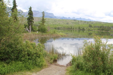 Fototapeta na wymiar Cloudy Talbot Lake, Jasper National Park, Alberta