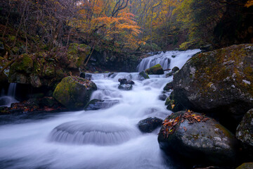 秋の紅葉の季節に滝のある川の風景