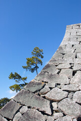 松山城　石垣　愛媛県松山市