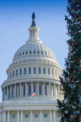 United States Capitol Building, National Capitol building Washington DC, USA