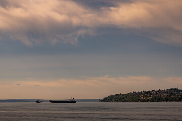 2021-07-08 SEVERAL CARGO SHIPS ANCHORED IN ELIOTT BAY JUST OFF OF THE MAGNOLIA BLUFF IN SEATTLE