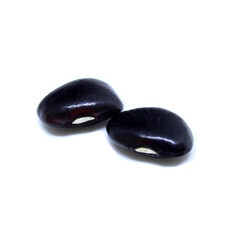 Black fava bean seeds on a white background