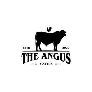 Retro Vintage Cattle Angus Beef Emblem Label Livestock Logo Design Vector