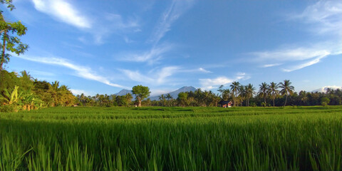 Amazing landscape around Banyuwangi East Java Indonesia.