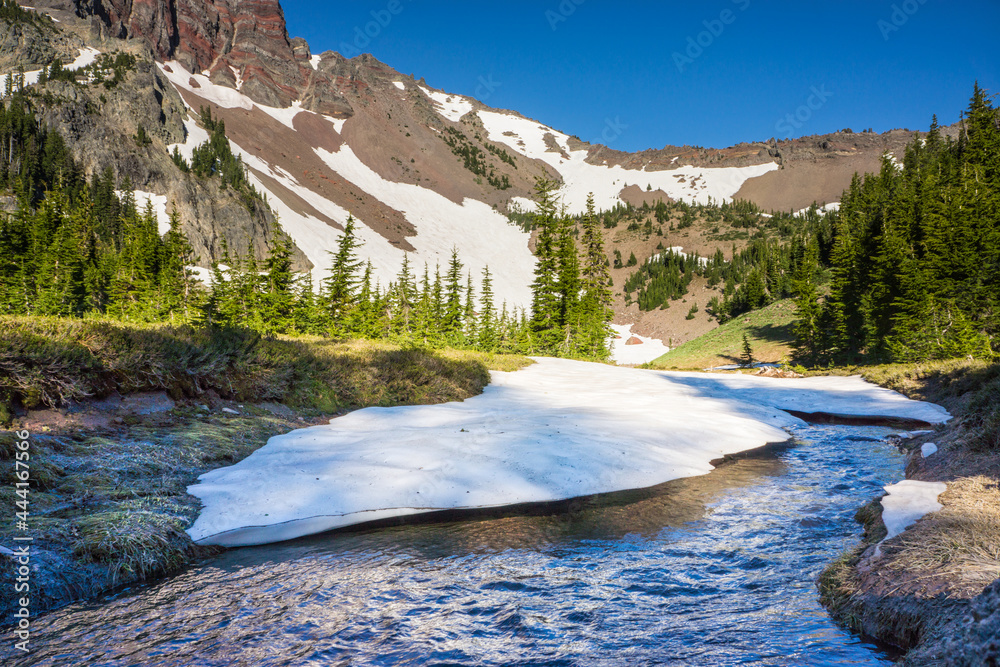 Wall mural volcanic mountain with patches of snow melting into streams of water runoff.