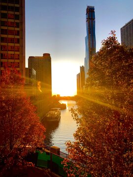 Sunrise In Chicago Loop